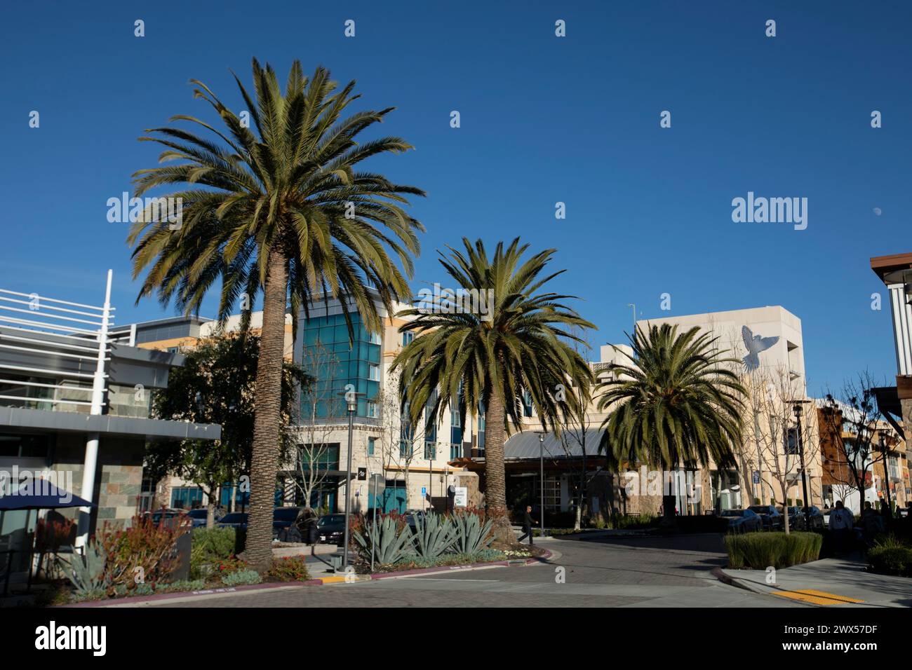 Cupertino, Kalifornien, USA - 1. Januar 2023: Die Nachmittagssonne scheint auf der Main Street Cupertino, einem gemischten Wohnviertel und Einzelhandel in der Innenstadt. Stockfoto