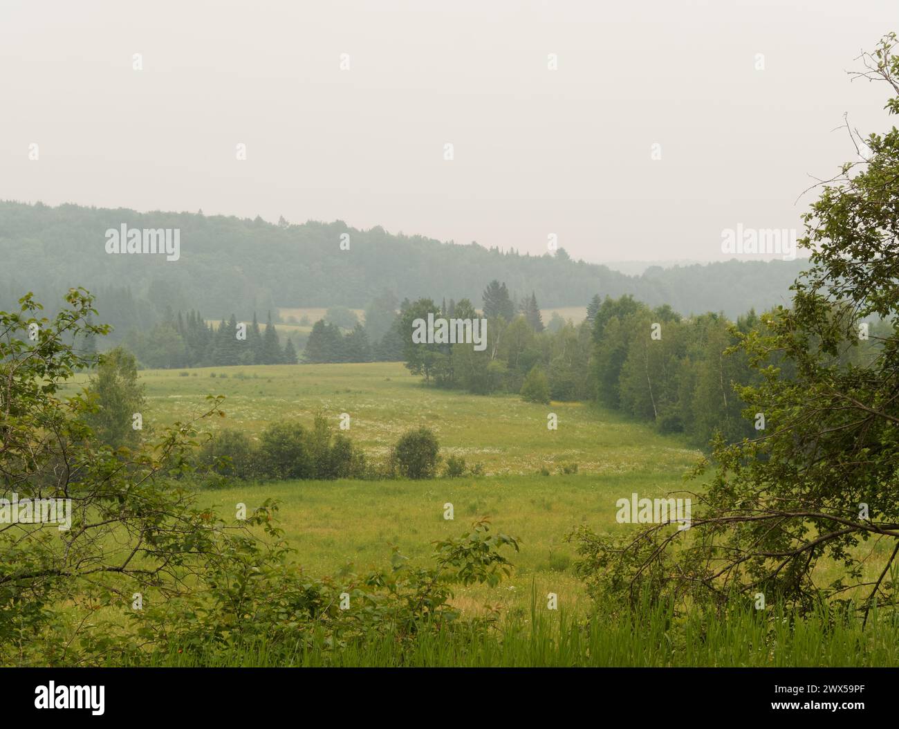 Smog durch Waldbrände in Nord-Quebec. Rawdon, Quebec, Kanada Stockfoto