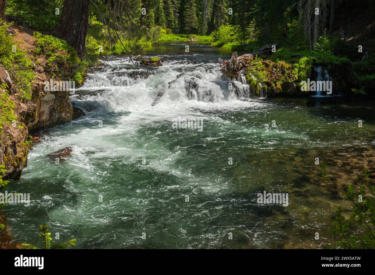 Ein kleiner Wasserfall am oberen Rogue River, Oregon Stockfoto