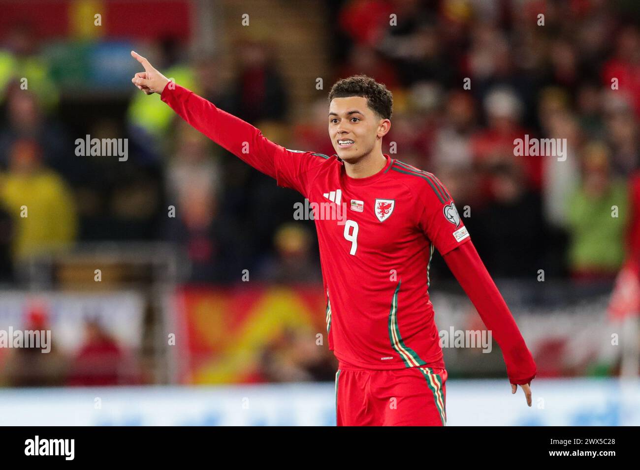 Cardiff, Großbritannien. März 2024. Brennan Johnson aus Wales war während des Qualifikationsspiels zur UEFA-Europameisterschaft (Play-off) zwischen Wales und Polen im Cardiff City Stadium zu sehen. Endstand; Wales 0:0 Polen (Elfmeter; 4:5). Quelle: SOPA Images Limited/Alamy Live News Stockfoto