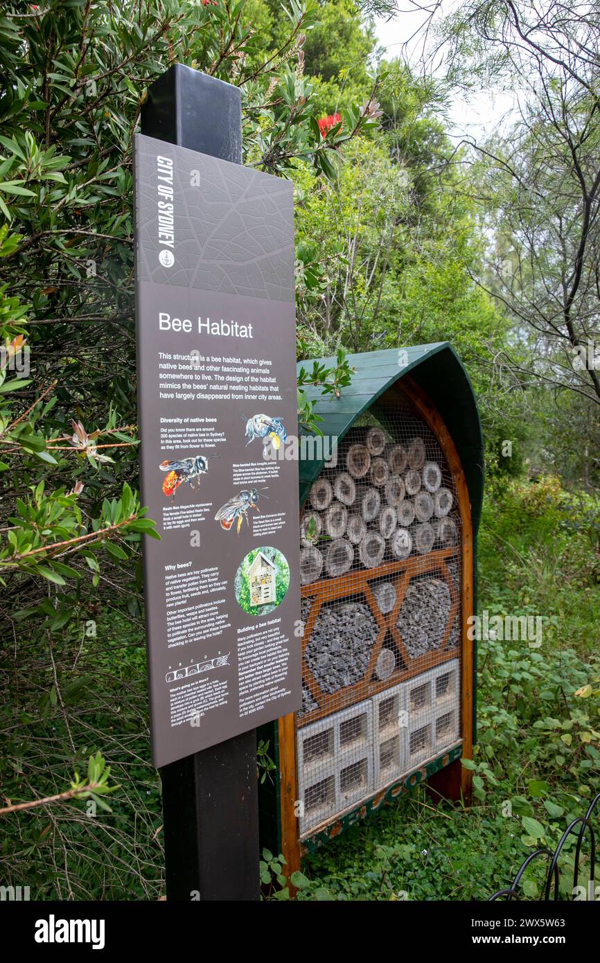 Bienenhabitat von der Stadt Sydney, um Bienen zu ermutigen, ein Heimnest zu bauen, in Sydney, NSW, Australien Stockfoto