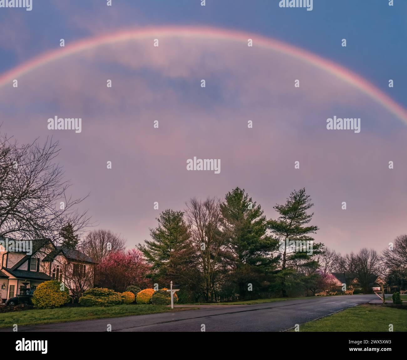 Wunderschöner Blick auf den Regenbogen über die Vorstadtstraße im Mittleren Westen im Frühjahr nach Regen Stockfoto