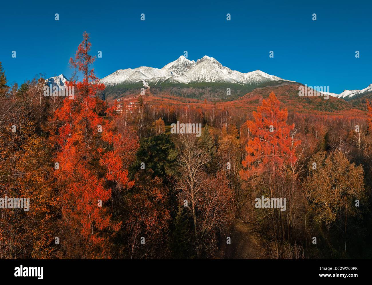 Tatranske Matliare, Slowakei - aus der Vogelperspektive auf die schneebedeckten Berge des Lomnicky Peak in der Hohen Tatra mit wunderschönem rot-orangen Herbst tr Stockfoto