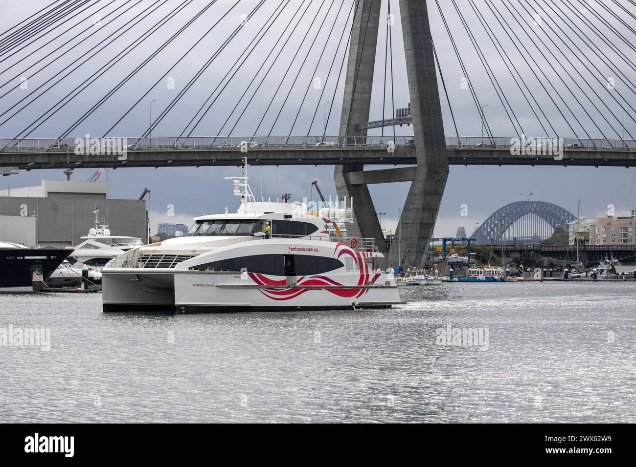 Anzac Bridge in Sydney, Australien, Brücke über den Hafen von Sydney, eröffnet 1995 Stockfoto