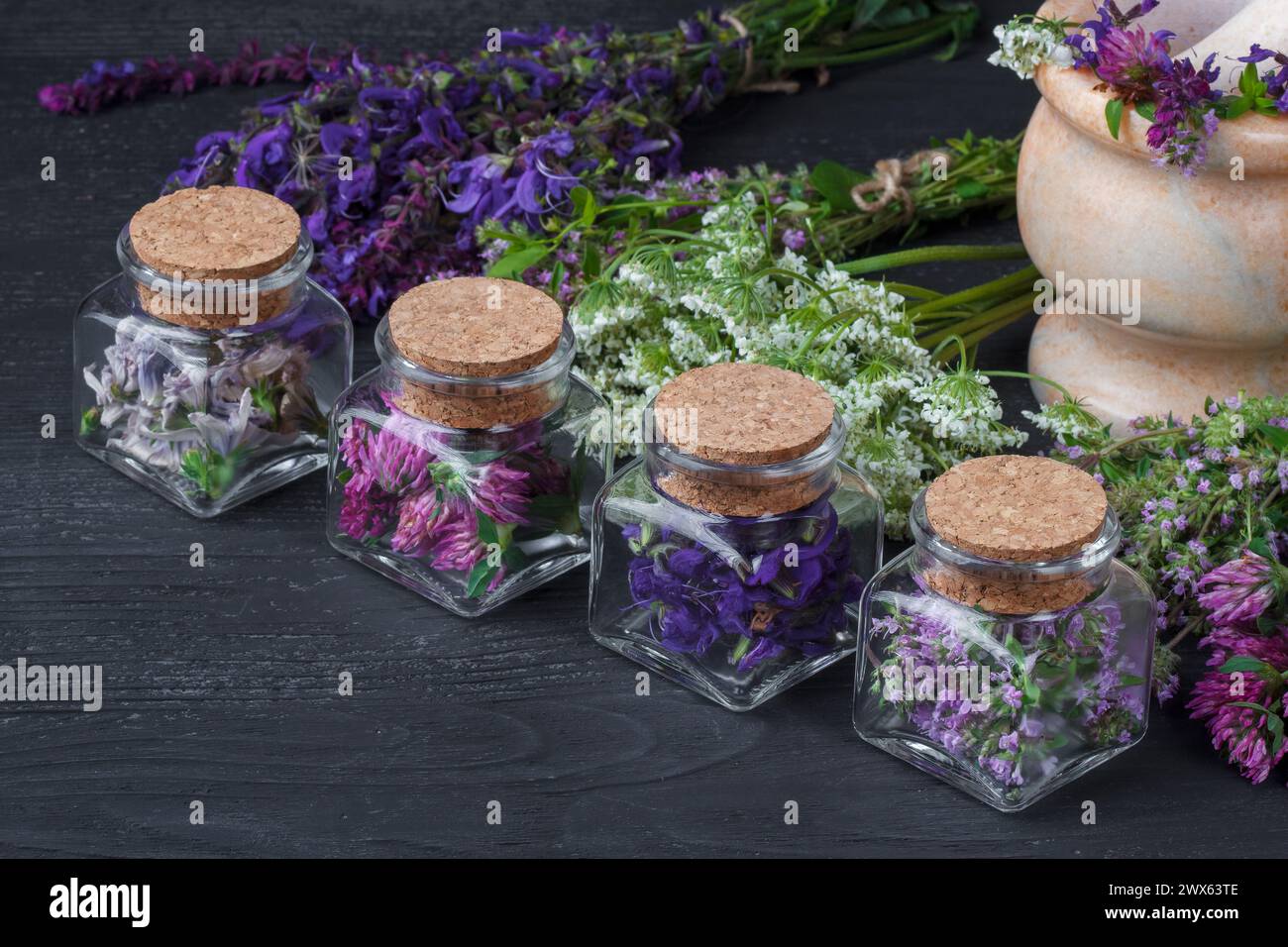 Satz von heilenden Kräutern. frischem Thymian, Salbei, achillea, Chicorée und Rotklee Kraut in der Flasche. Alternative Medizin Konzept auf schwarzen Holztisch (selektive Stockfoto