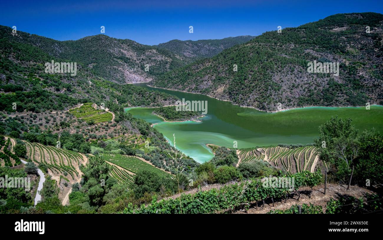 Blick auf das Tua-Tal, Tras-os-Montes, Portugal. Juli 2021 Stockfoto