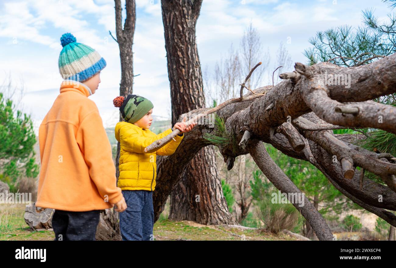 Kinder spielen, um eine Hütte mit Ästen in der Natur zu bauen Stockfoto