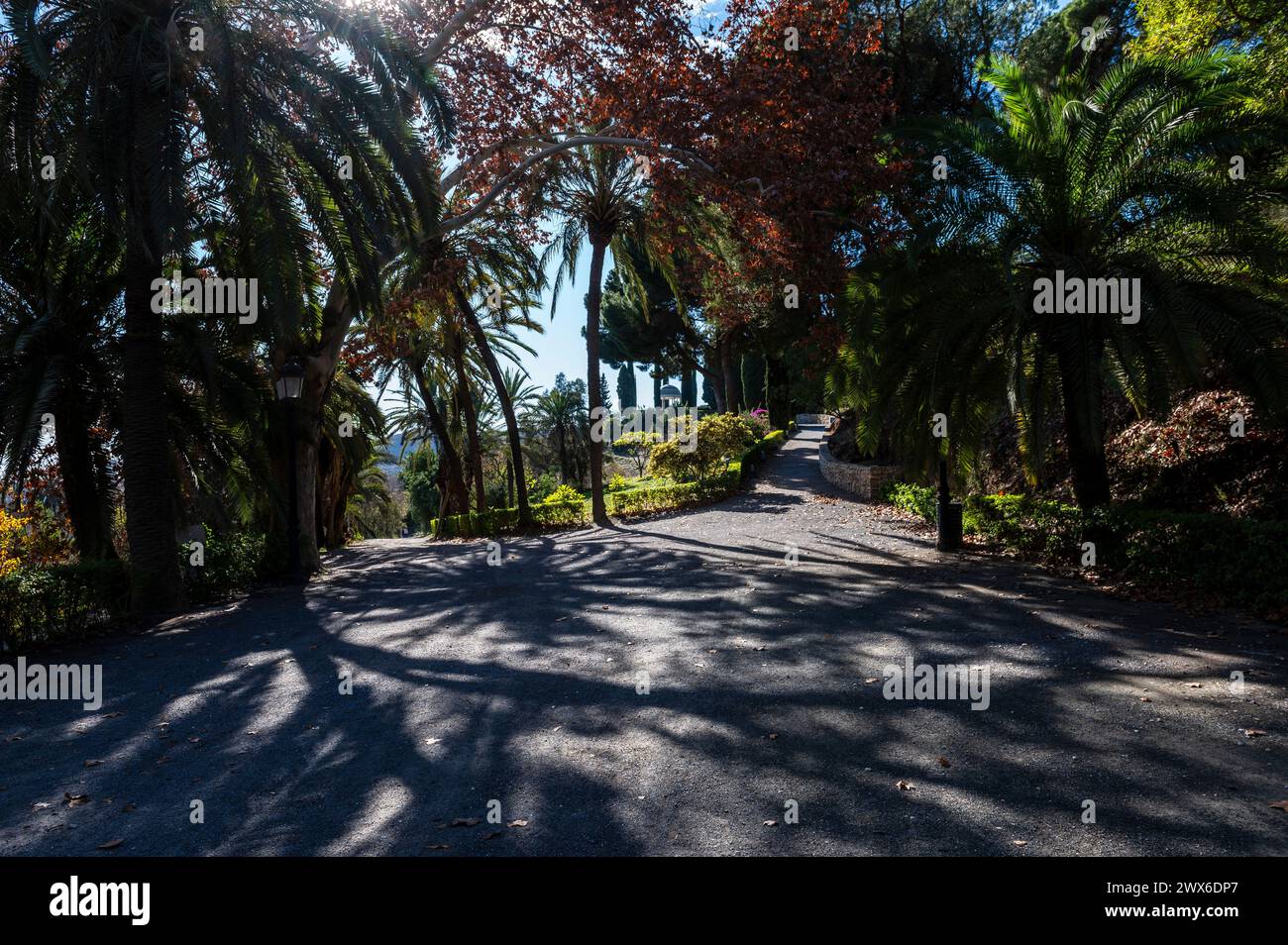 Botanischer Garten Von Malaga Stockfoto