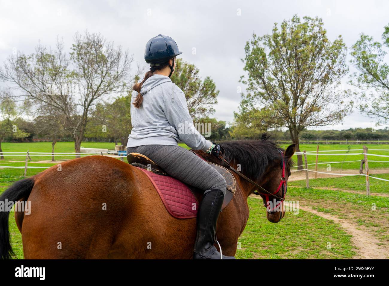 Frau, die auf einem Pferd in einem Reitzentrum reitet Stockfoto