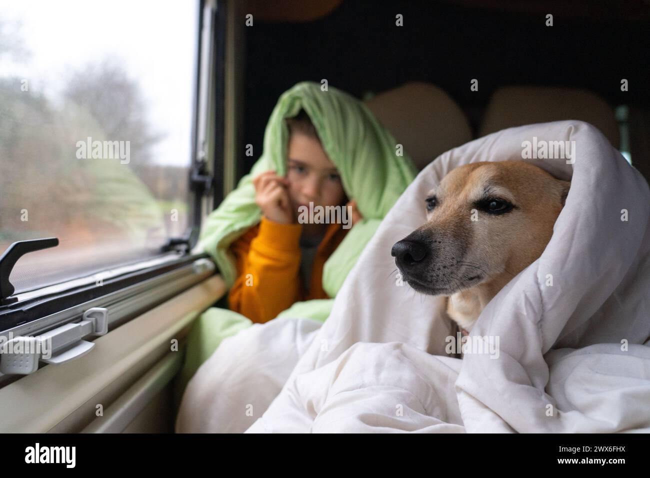 Junge mit seinem Hund im Bett eines Wohnmobils mit Bettdecken Stockfoto