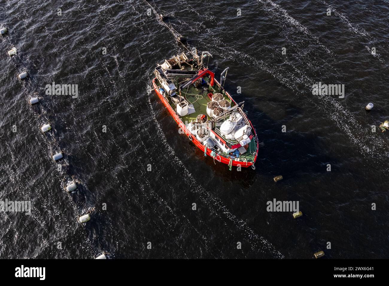 Muschelfischboot in Bantry Bay, West Cork, Irland. Stockfoto