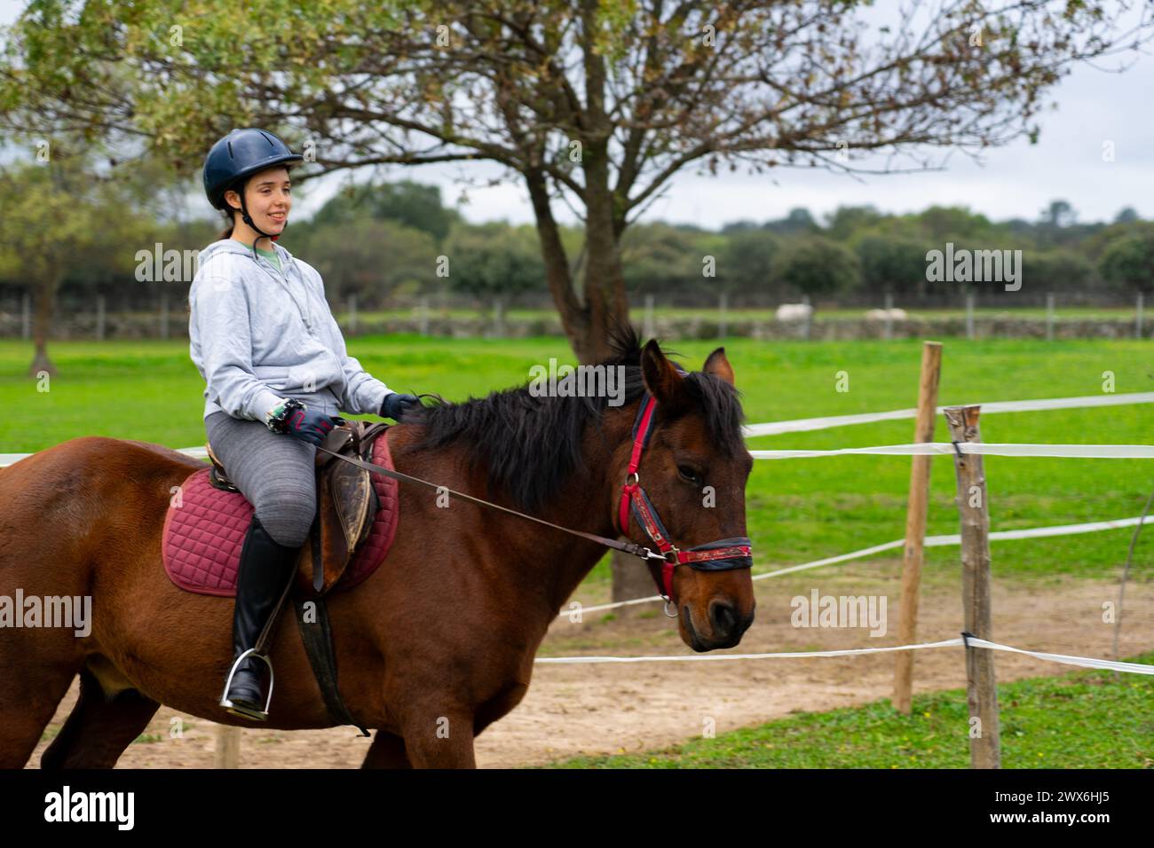 Ein Mädchen, das auf einem Pferd in einem Reitzentrum reitet Stockfoto