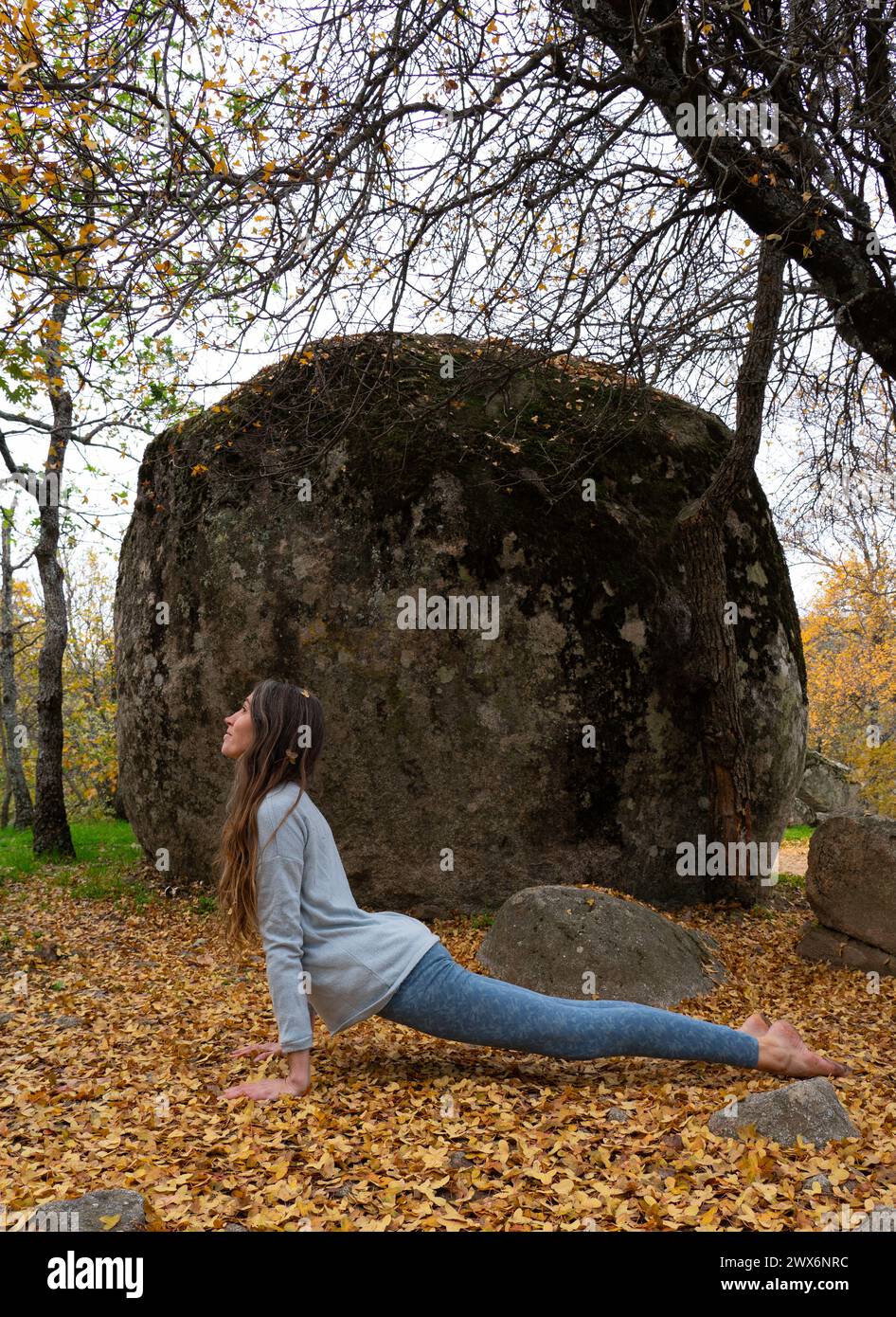 Eine Frau, die in der Natur nach oben blickt und Hündyoga-Pose macht Stockfoto