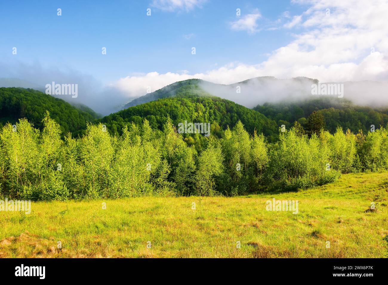 karpaten Landschaft an einem sonnigen Morgen im Frühling. Berglandschaft mit grasbewachsenen Wiesen und Nebel auf den Hügeln. Wolken über dem Berg Stockfoto