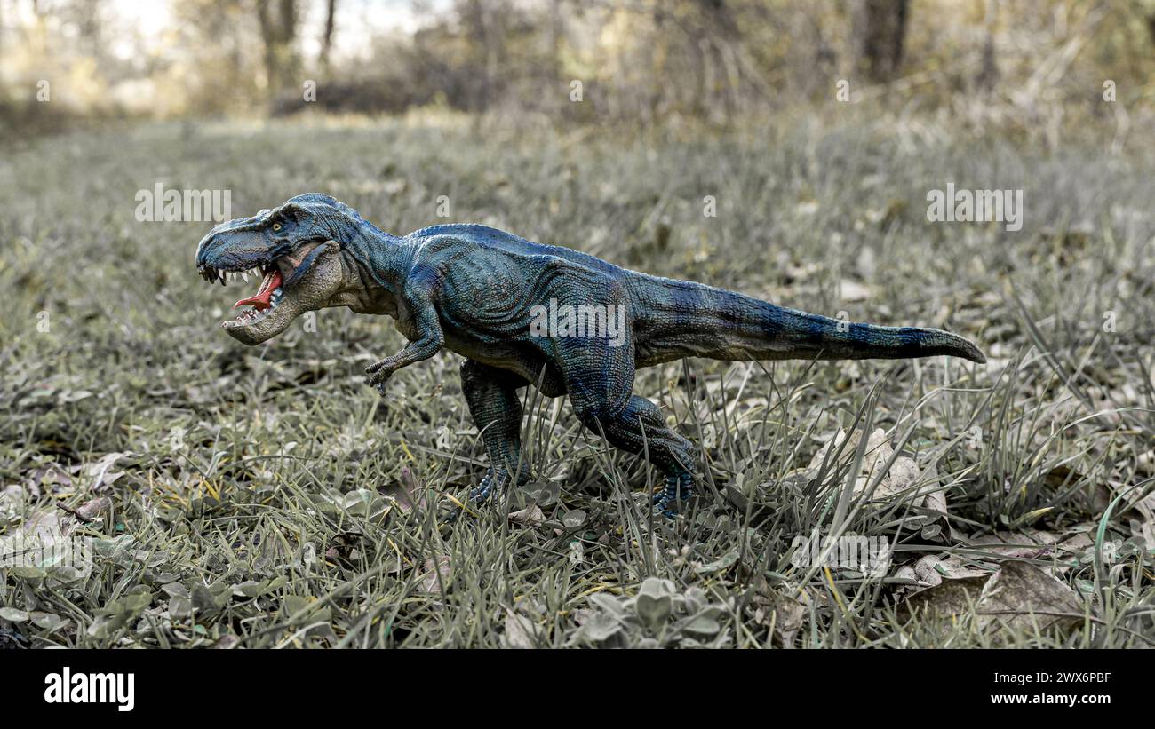 T Rex Dinosaurier monströses Tier mit scharfen Zähnen, das im Wald steht Stockfoto