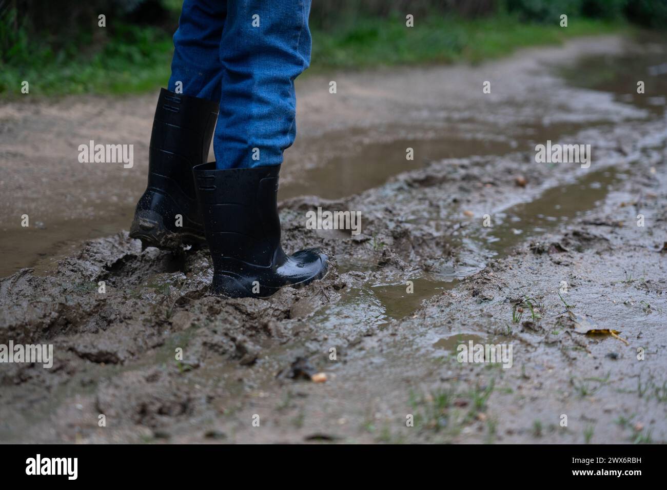 Die Gummistiefel eines Kindes auf Schlamm Stockfoto