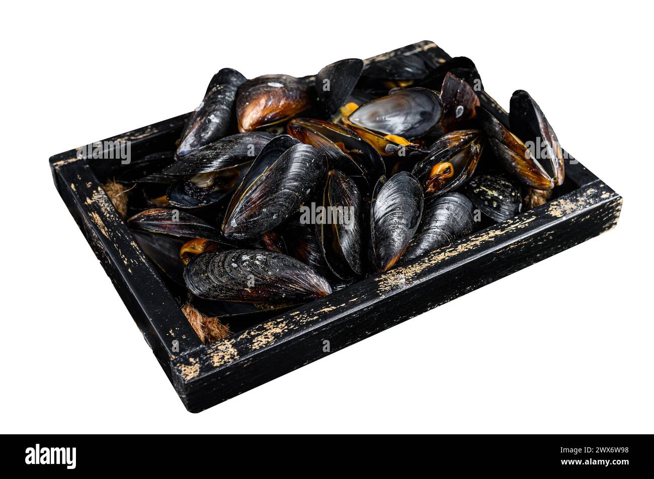 Gedämpfte Muscheln in Muscheln in einem Holztablett mit Kräutern. Isoliert auf weißem Hintergrund. Draufsicht Stockfoto