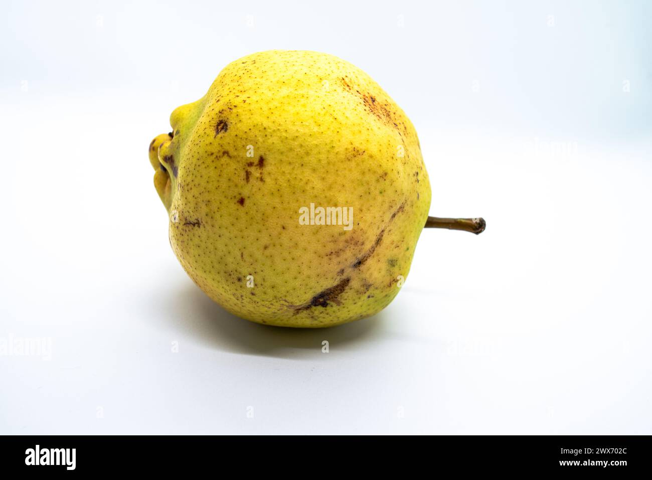 Ein Birnenweiss zeigt eine reife, saftige Birne, die vor Süße und Nährstoffen strotzt, ideal für einen gesunden Snack oder kulinarischen Gebrauch. Stockfoto