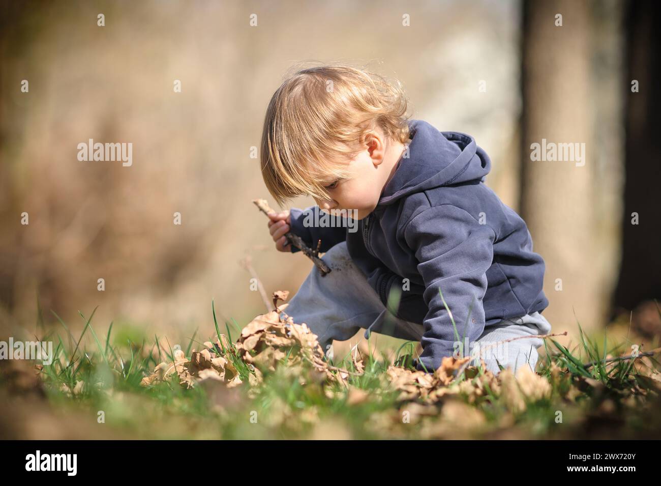 Herbstabenteuer für Kleinkinder. Kurioses Kind hockt sich zwischen gefallenen Blättern und entdeckt die Wunder der Natur. Kinder spielen im Freien Stockfoto