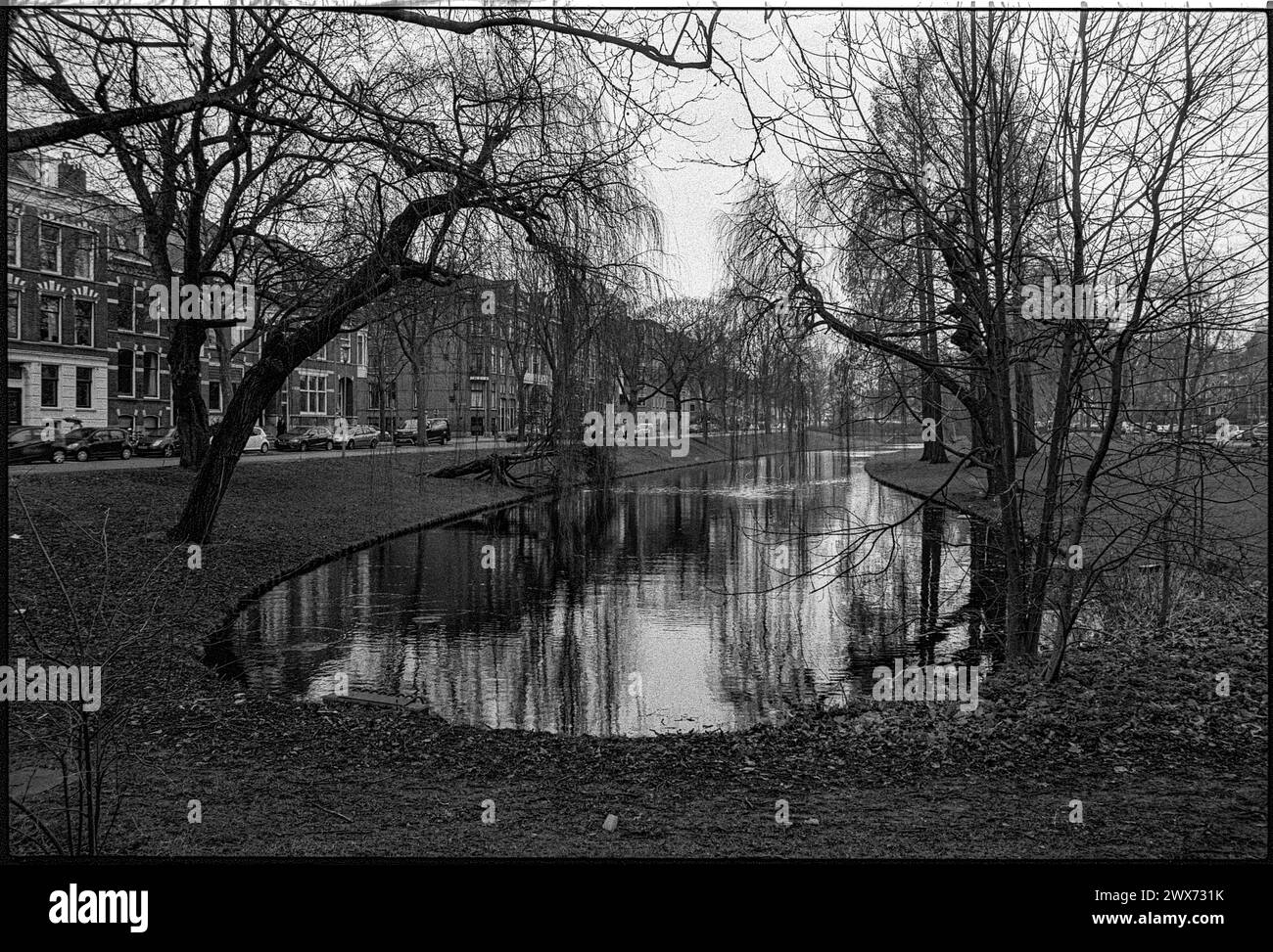 Heemraadsingel im Winter Heemraadsingel im Winter. Rotterdam, Niederlande. Rotterdam Heemraadsingel Zuid-Holland Nederland Copyright: XGuidoxKoppesxPhotox Stockfoto