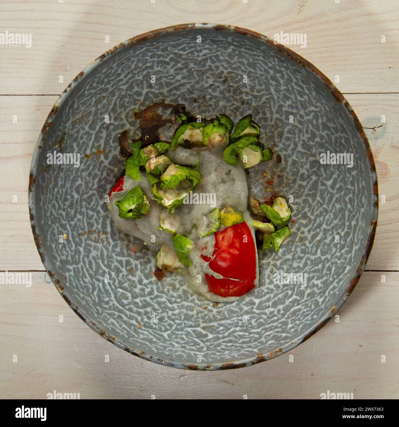 Schimmelige Überreste von Rosenkohl und Tomaten in einer rostigen emaillierten Schüssel, Nahaufnahme. Stockfoto