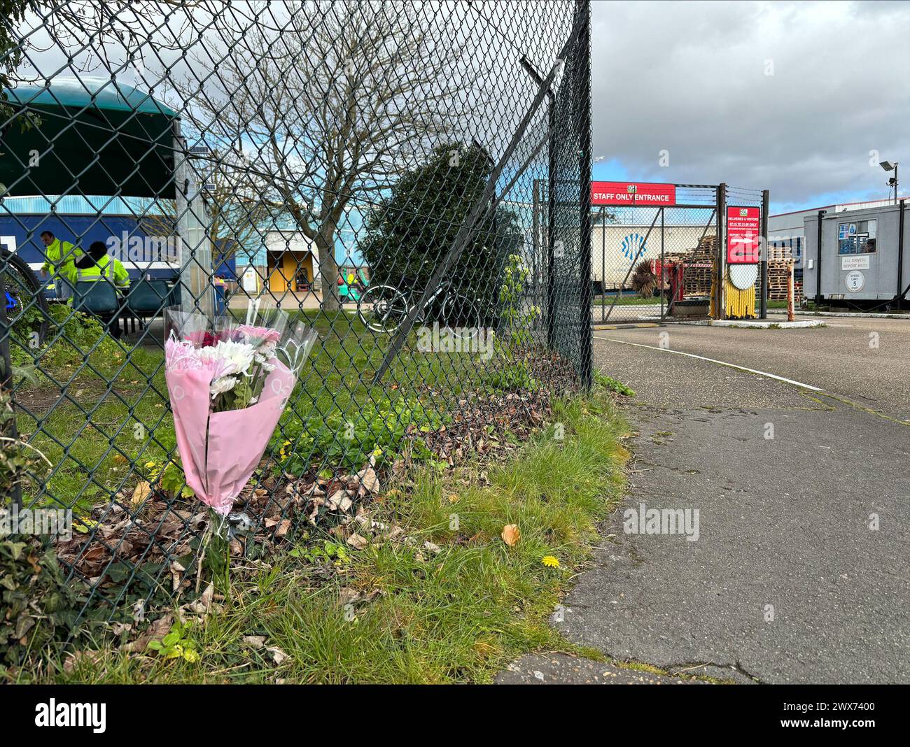 Blumen vor EGL Homecare in Shoeburyness, Essex, wo Gogglebox's George Gilbey nach einem Sturz starb. Die Polizei von Essex sagte, dass sie am Mittwoch zu einem Vorfall in Southend-on-Sea gerufen wurden, bei dem ein Mann starb, nachdem er aus einer Höhe gefallen war. Bilddatum: Donnerstag, 28. März 2024. Stockfoto