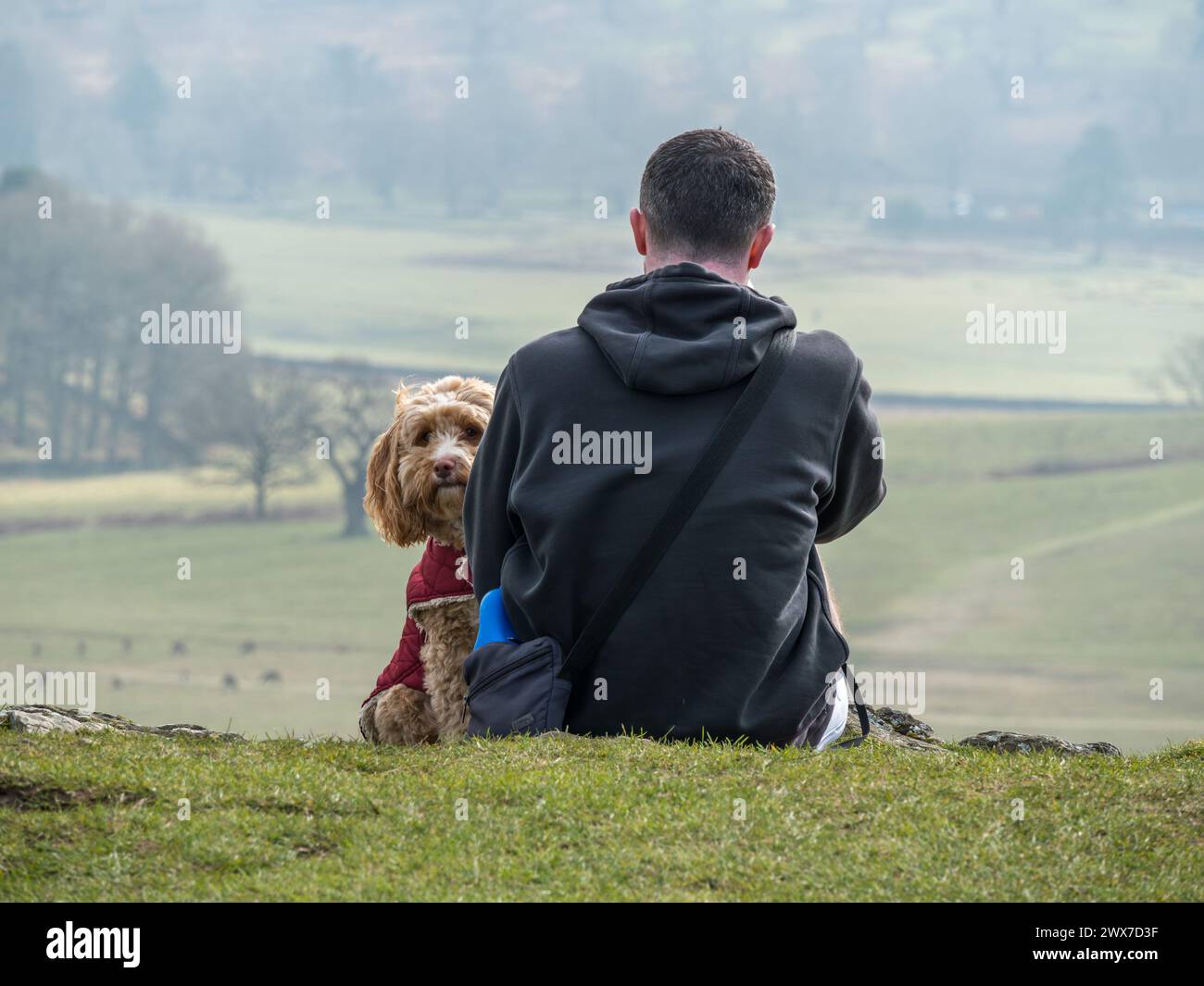 Ein Mann und sein süßer Cockapoo-Hund, der in die Kamera schaut, sitzt auf einem Hügel, Leicestershire, Großbritannien Stockfoto
