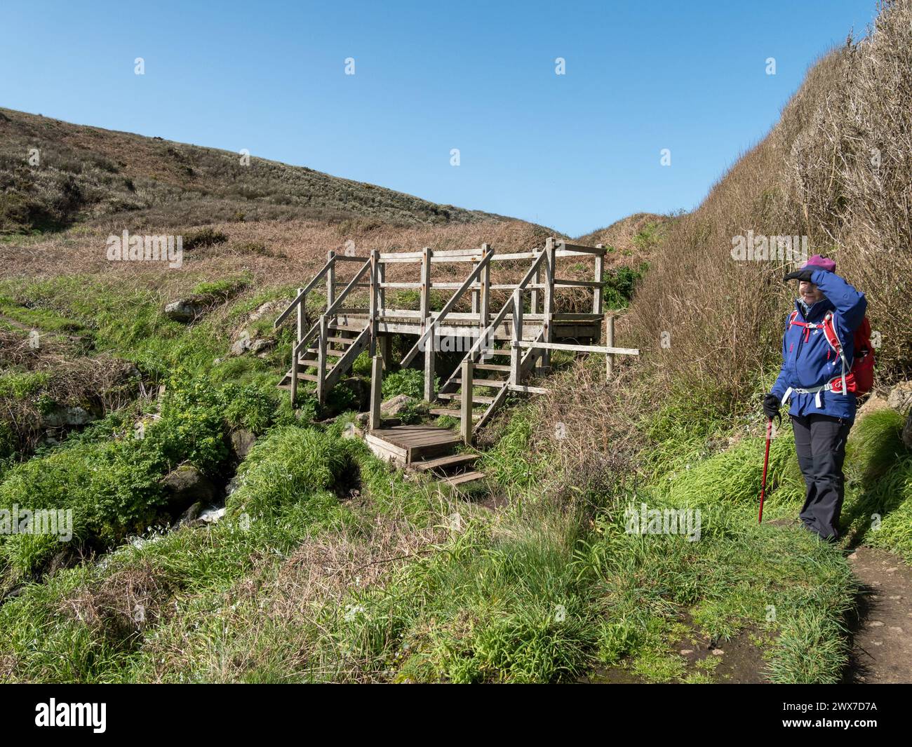 Cornish Coastal Path Walker / wanderer in Waking Gear an einer hölzernen Fußbrücke über den Fluss Porth Chapel Cove im März, Cornwall, England, Großbritannien Stockfoto
