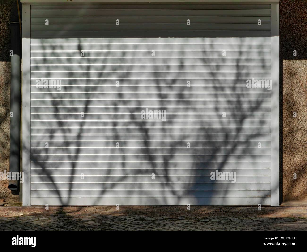Silhouettensymmetrie. Schattenbaumzweige an der weißen Garagentür. Stockfoto