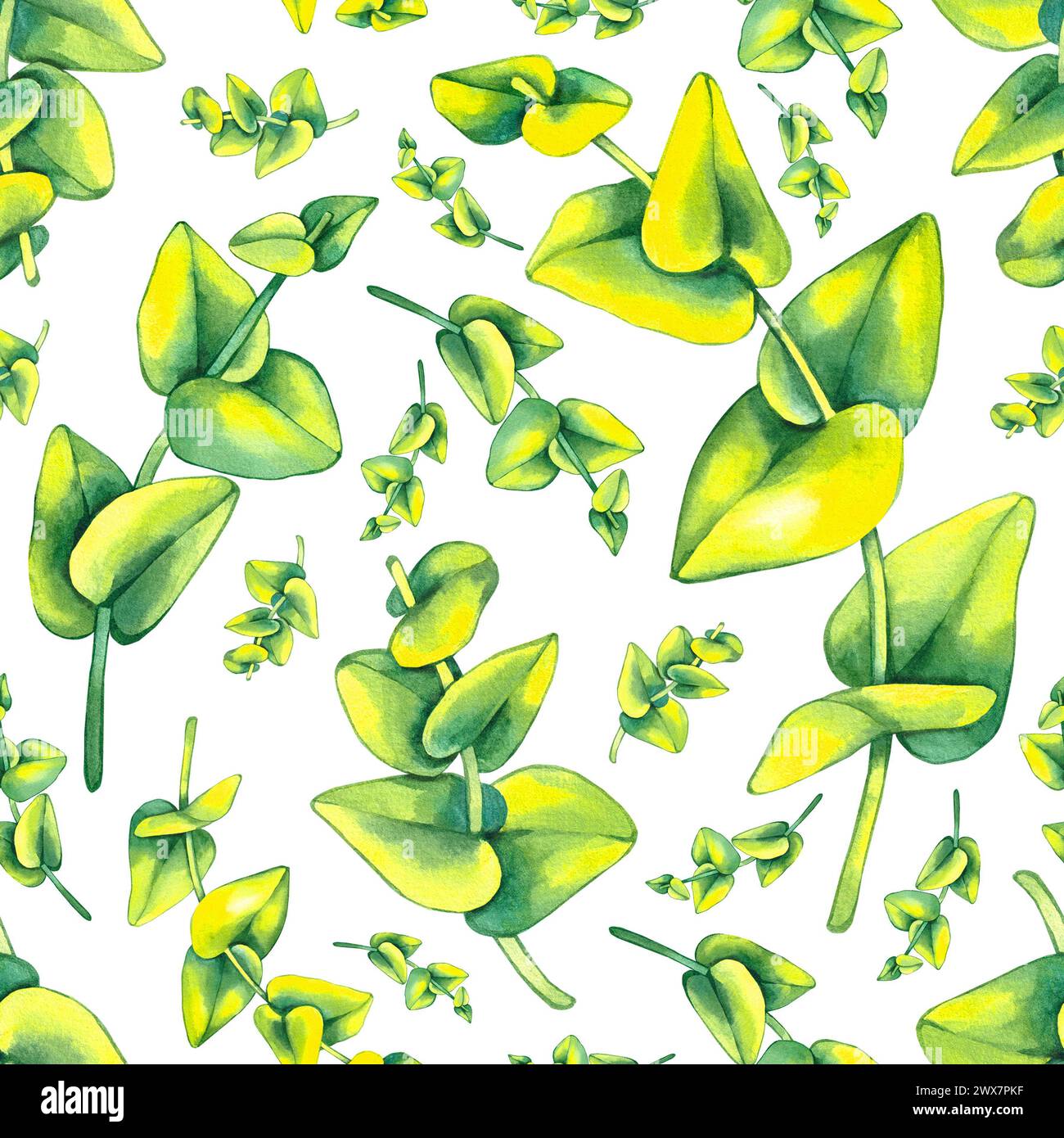 Aquarellblühendes nahtloses Muster mit Eukalyptuszweigen. Botanisches tropisches nahtloses Muster für Textilien, Stoffe, Tapeten usw. Stockfoto