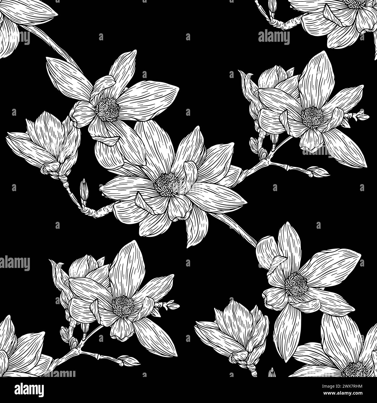 Blumen Nahtlose Muster . Linien-Magnolien-Illustrationen. Vintage-Gravur Mit Blumenschmuck Romantischer Hintergrund. Stock Vektor