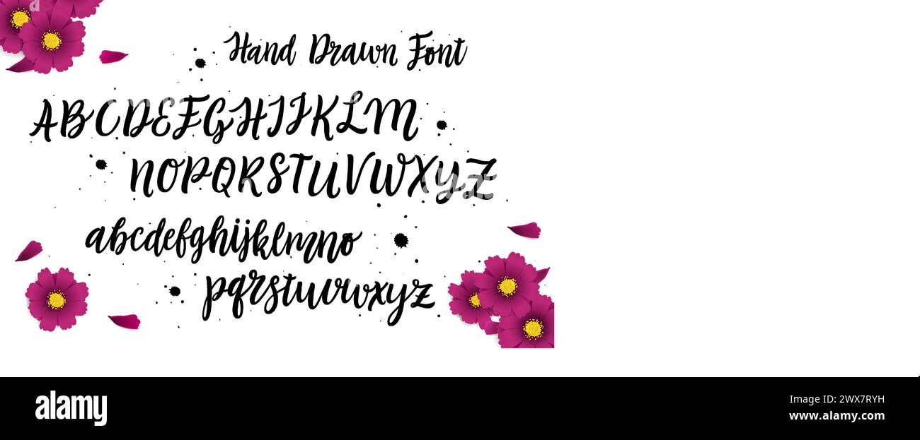 Vektor-handgezeichnetes Alphabet isoliert auf weißem Hintergrund. Pinsel gemalte Buchstaben. Dekorative künstlerische Schriftart. Stock Vektor