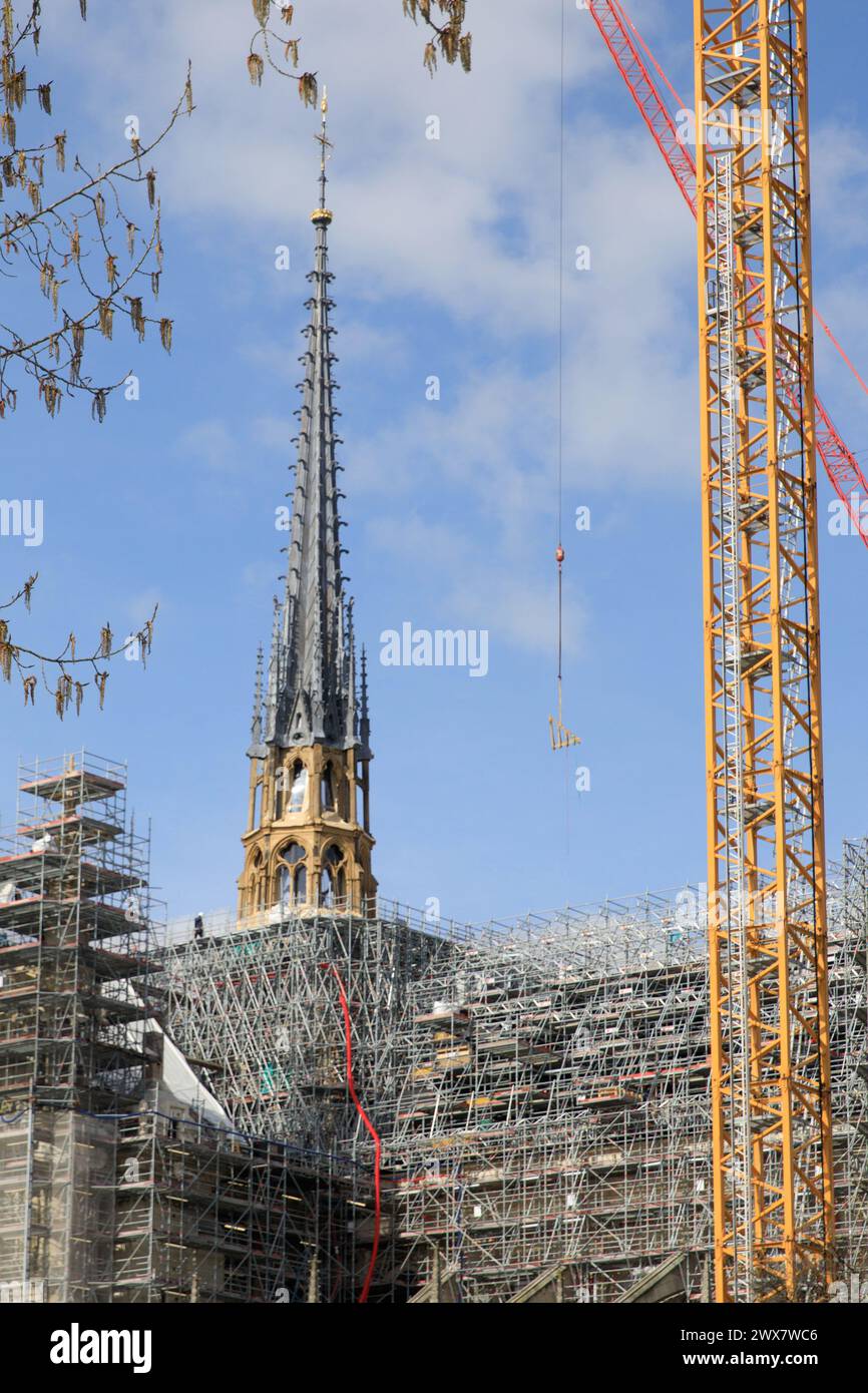 Frankreich, Region Ile-de-France, Paris Rive Gauche, 5. Arrondissement, Quai de Montebello, Blick auf die Kathedrale Notre-Dame de Paris und ihren neuen Turm. 19. März 2024 Stockfoto