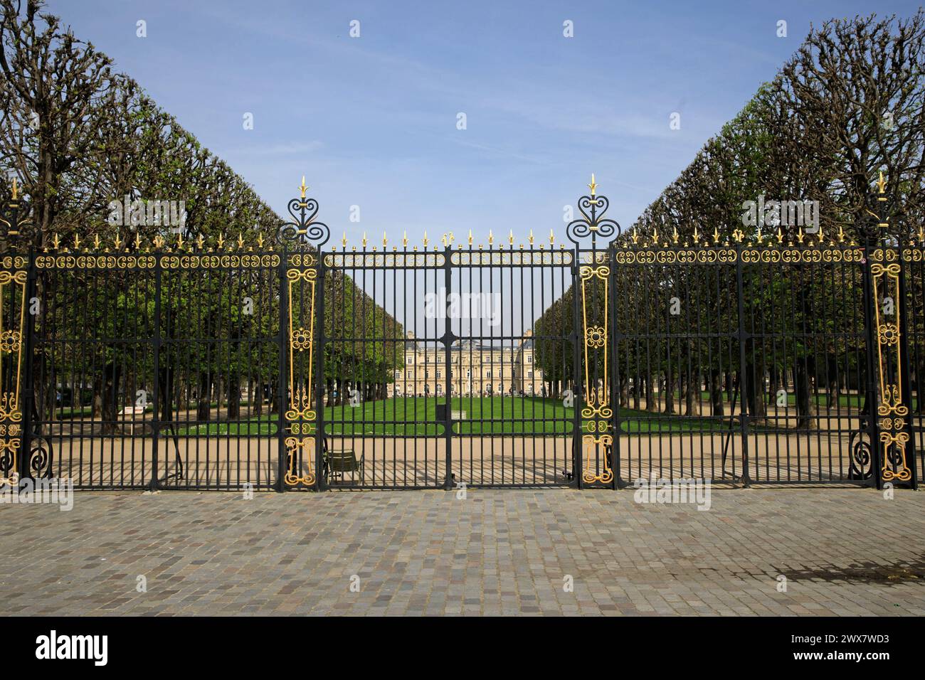 Frankreich, Region Ile-de-France, 6. Arrondissement, Rue Auguste Comte, Jardin du Luxembourg, Rasen und französischer Sénat (Senat). 21. März 2024 Stockfoto