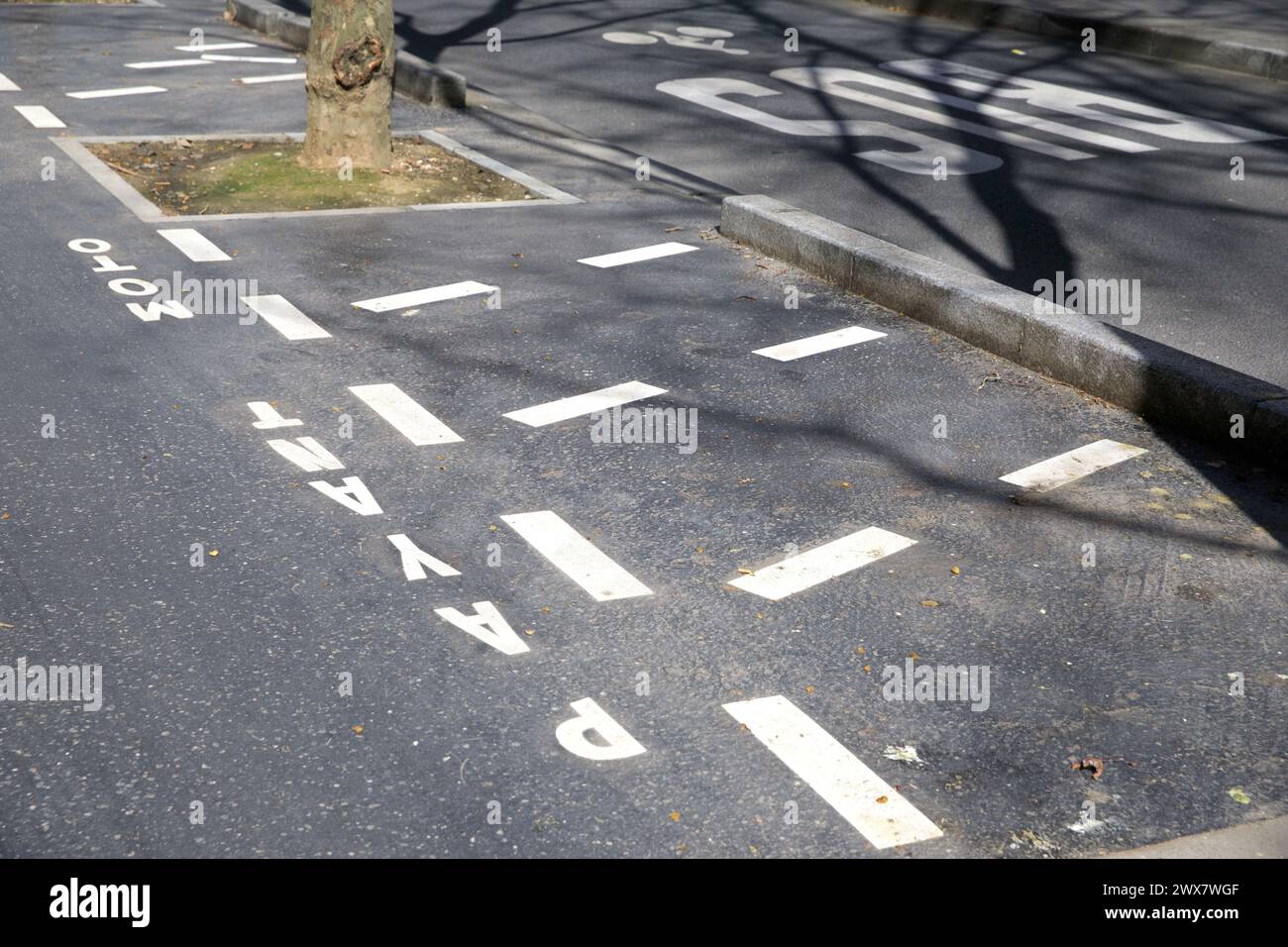 Frankreich, Region Ile-de-France, Paris Rive Gauche, Montparnasse, 14. Arrondissement, avenue du Maine, kostenpflichtige Parkmarkierungen für Zweiräder, 19. März 2024 Stockfoto