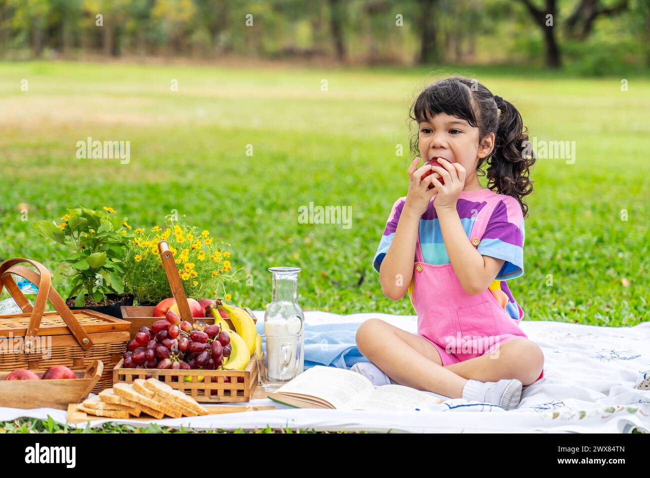 Ein junges Mädchen auf Decke im Park, das Apfel genießt Stockfoto