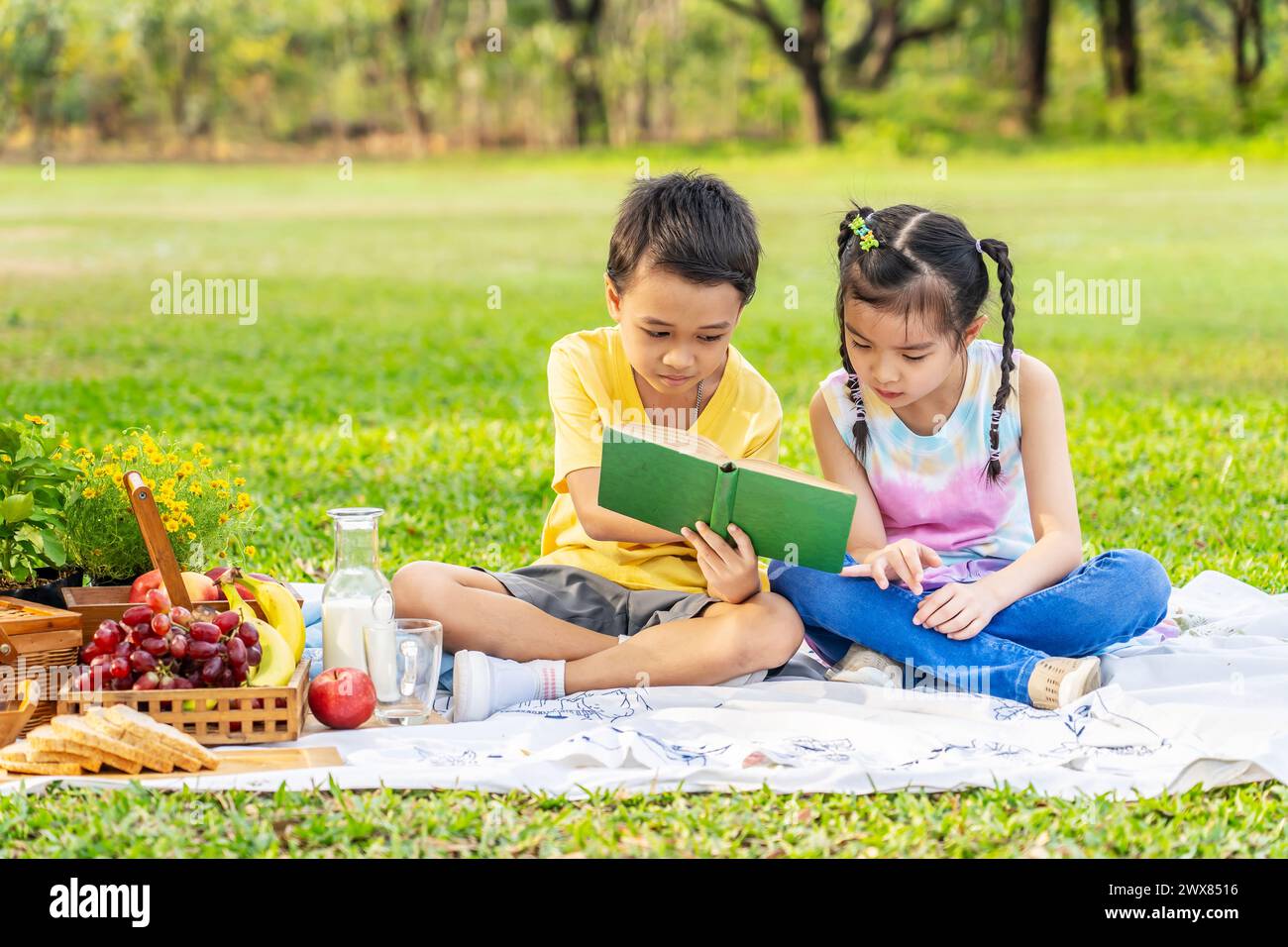 Zwei Kinder lesen in der Nähe eines Picknickkörbchens auf Gras im Park Stockfoto