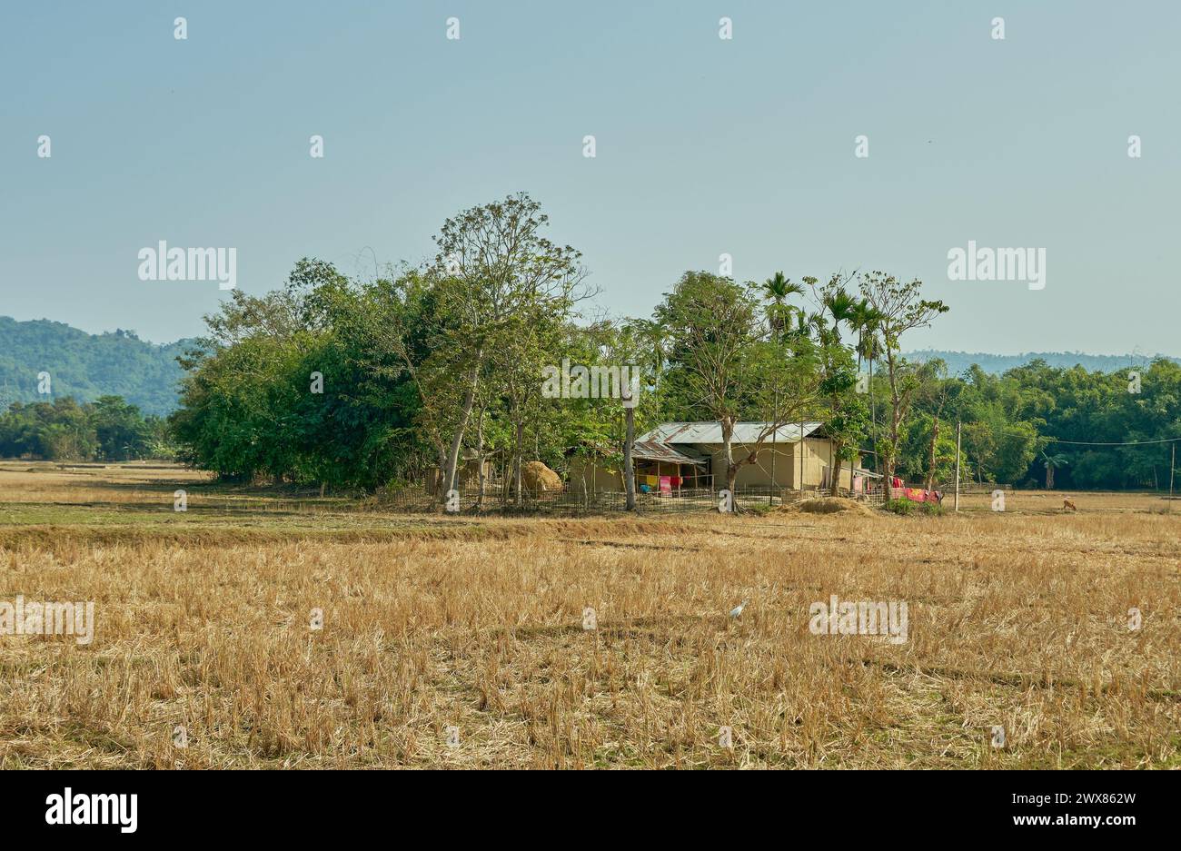 Bauernhaus im ländlichen Indien Stockfoto