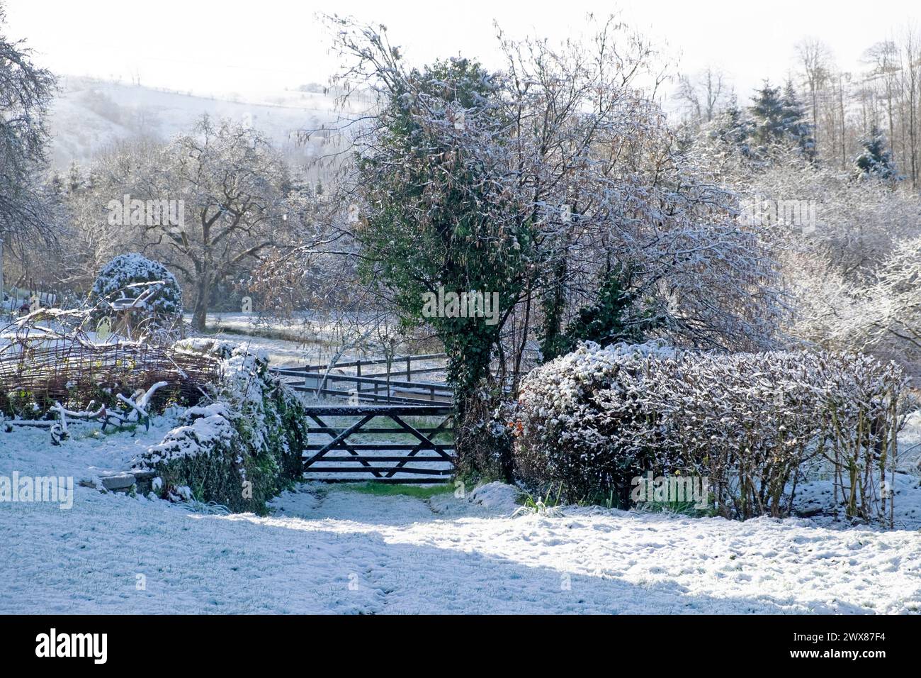 Schneebedeckte Wintervormittagsszene mit Blick auf die Landschaft durch ein hölzernes Tor im ländlichen Garten März 2024 Carmarthenshire Wales UK KATHY DEWITT Stockfoto