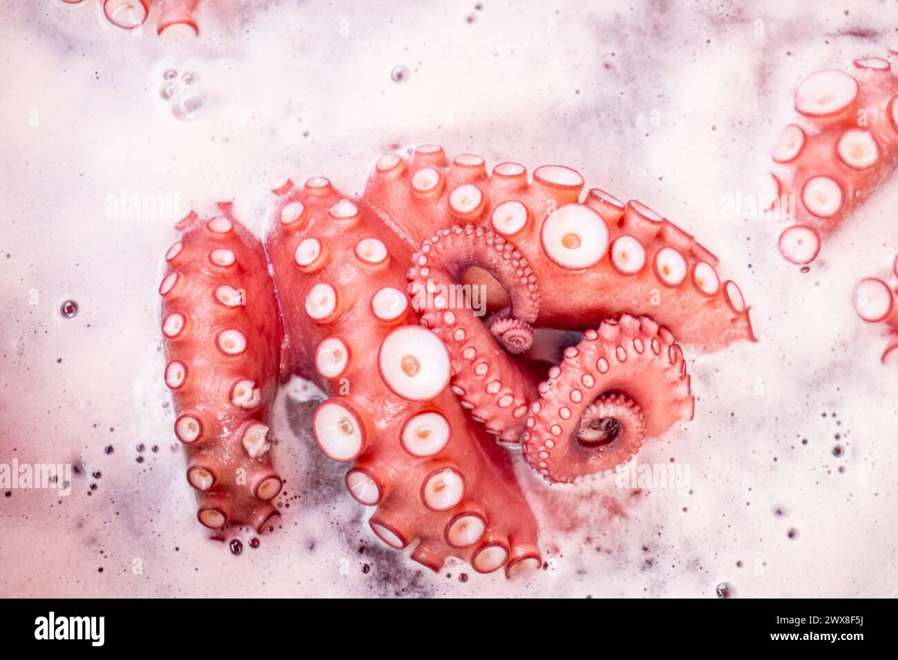 Nahaufnahme von Tentakeln mit Tintenfisch, die im Wasser mit Salz in einem großen Topf kochen, traditionelles Rezept aus Galicien. Pulpo a feira Stockfoto