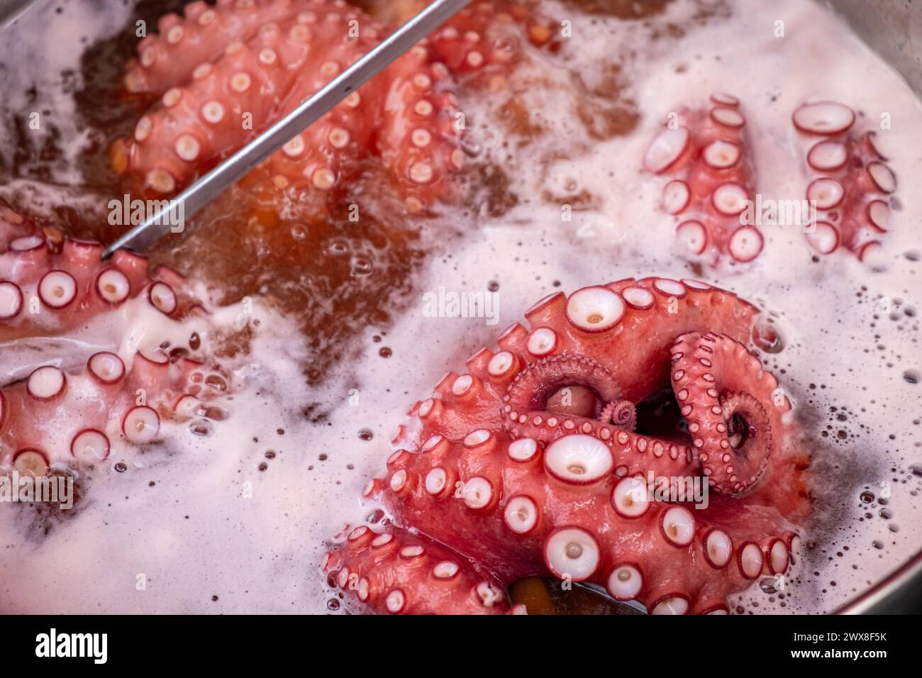 Nahaufnahme von Tentakeln eines rohen Tintenfisches, der im Wasser mit Salz in einem großen Topf kocht, traditionelles Rezept aus Galicien. Pulpo a feira Stockfoto