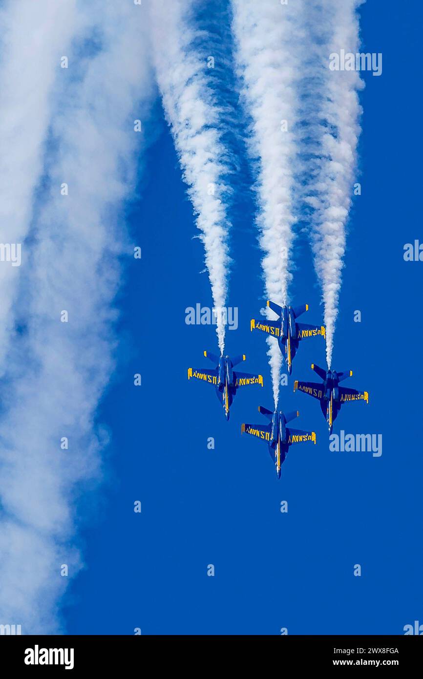 El Centro, CA, USA. März 2024. März 2024: El Centro, CA: Blue Angels Proben vor dem Saisondebüt Präzisionskunstflugzeuge und zeigen Können und Teamwork in hochfliegenden Manövern. (Kreditbild: © Kenneth Weisenberger Grindstone/ASP) NUR REDAKTIONELLE VERWENDUNG! Nicht für kommerzielle ZWECKE! Stockfoto