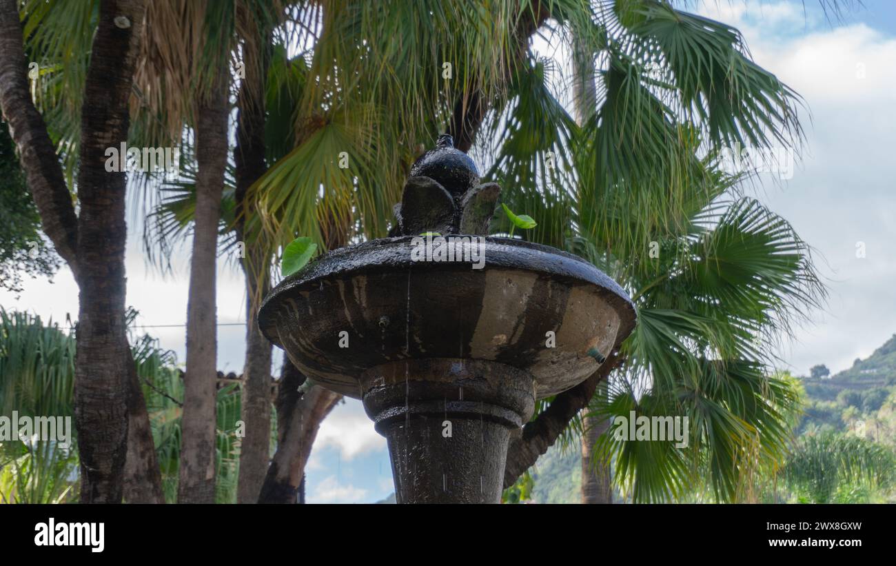 Steinbrunnen inmitten üppiger Palmen, ruhig und malerisch Stockfoto