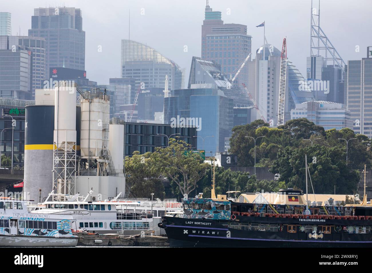 Lady Northcott Wirawi Fährschiff, heute als erste indigene Fähre in Australien betrieben, Sydney Skyline Towers, 2024 Stockfoto