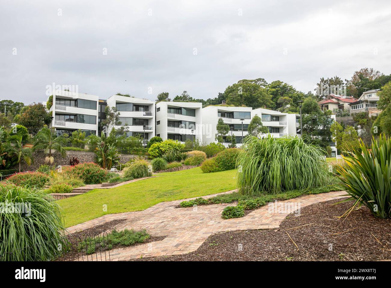 Sydney Häuser und Apartments mit Parkblick, Harold Park in Sydney Inner West mit modernen Apartmenthäusern, NSW, Australien Stockfoto