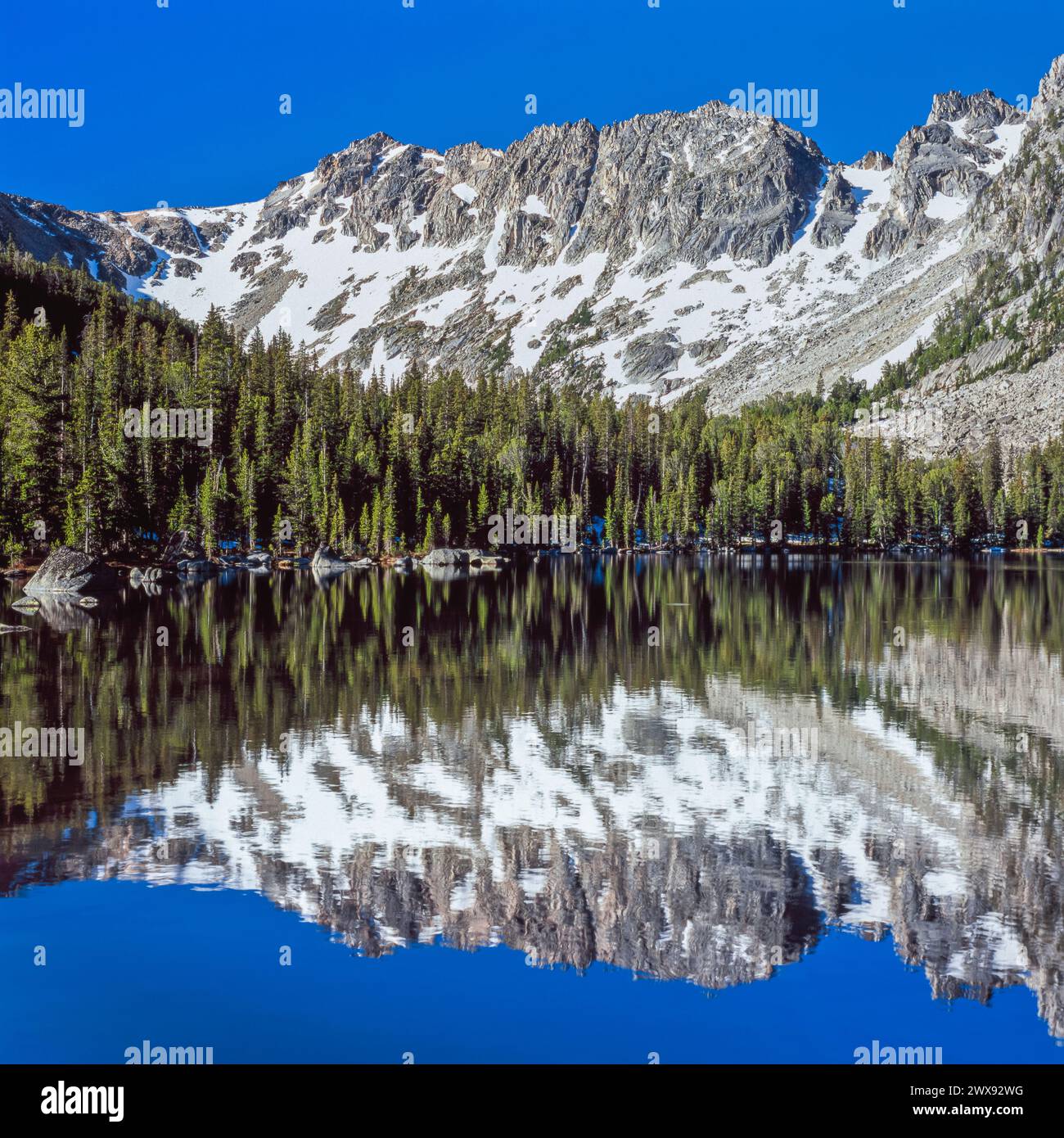 Äsche-See in den Pionieren Bergen nahe Melrose, montana Stockfoto