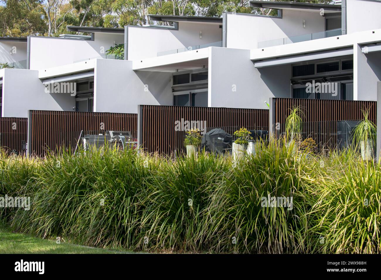 Australische Häuser, moderne architektonische Apartments Stadthäuser im Blackwattle Bay Park mit Blick auf die Hafenbucht, Sydney, Australien Stockfoto