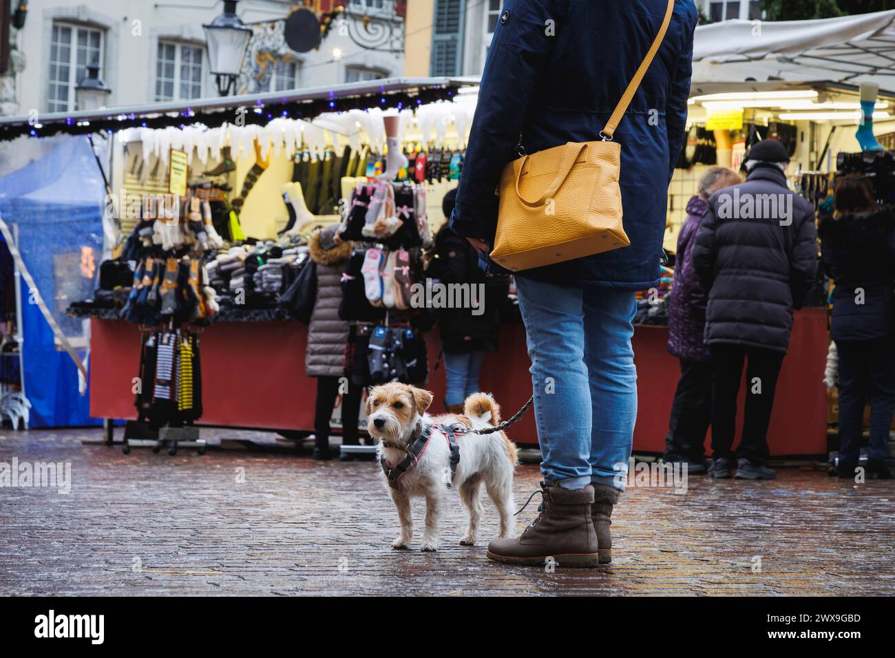 Straßenfoto eines weihnachtsmarktes in Solothurn Schweiz bei einem Spaziergang mit unserem Jack russel Terrier Arusha Stockfoto