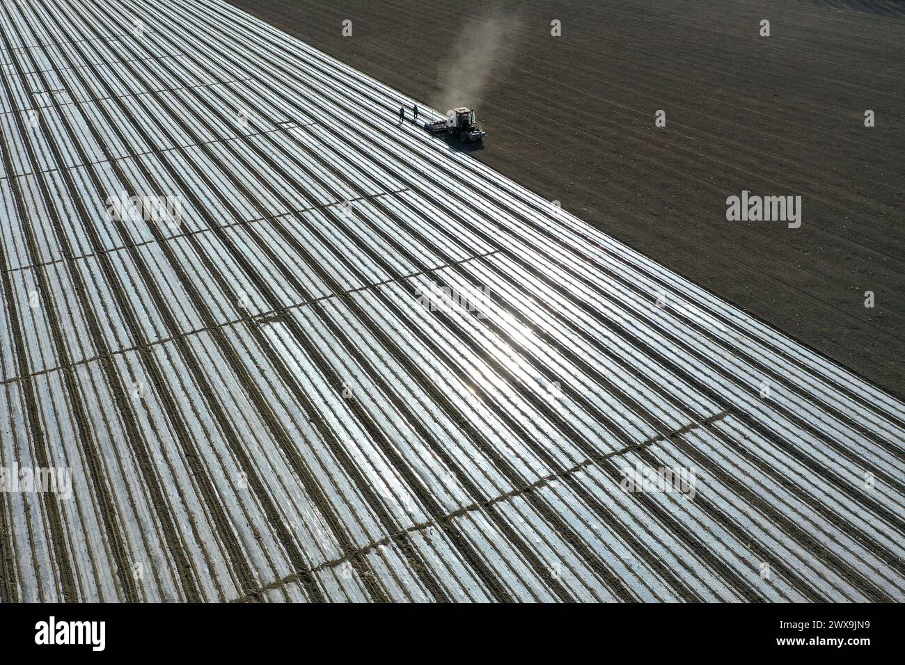 (240329) -- PEKING, 29. März 2024 (Xinhua) -- ein Luftdrohnenfoto zeigt einen selbstfahrenden Säer, der auf dem Ackerland im Awat County von Aksu, nordwestchinesischer Autonomen Region Xinjiang Uygur, 27. März 2024 arbeitet. Xinjiang ist ein wichtiger Drehpunkt der Baumwollproduktion. Mit steigender Temperatur begann die Frühlingssaat von Baumwolle in Xinjiang von Süden nach Norden. In den letzten Jahren sind Fortschritte in der Agrartechnologie allmählich zu wichtigen Verbündeten der Bauern von Xinjiang geworden. Von der Pflanzung bis zur Ernte, Mechanisierung und intelligente Einrichtungen wurden weit verbreitet eingesetzt. (Xinhua/Ding Lei) Stockfoto