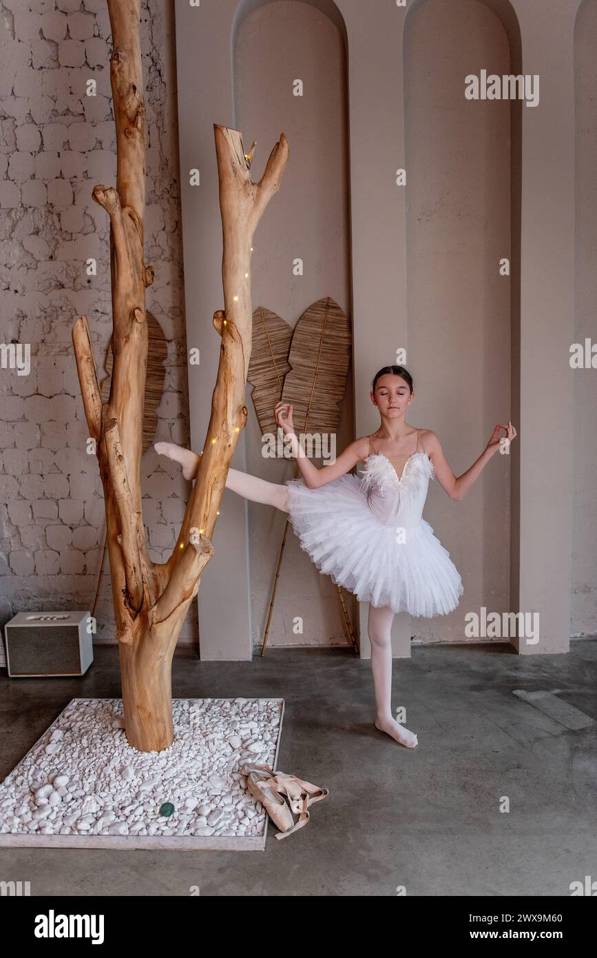 Die junge Ballerina in weißem Tutu mit fröhlichem Lächeln, die herumtäuscht, fängt die Laune des Tanzes ein, umgeben von rustikaler Kunst der Natur und sanftem, ätherischem Licht Stockfoto